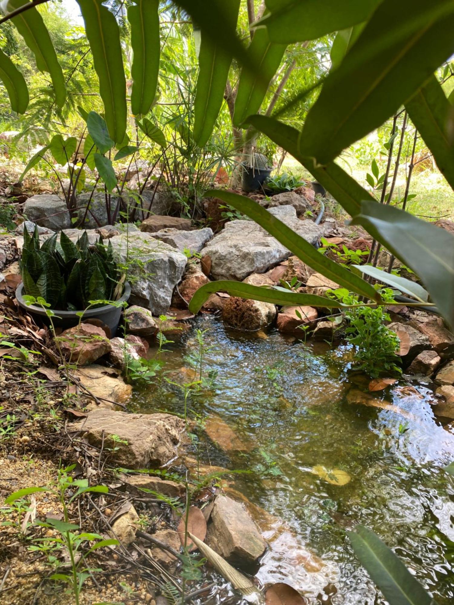 Вілла Royal Mountain View Ratchaburi Екстер'єр фото